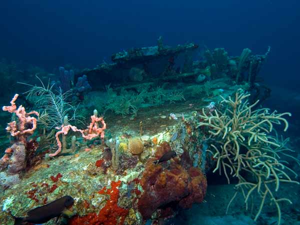 Wreck Diving On St Croix Us Virgin Islands